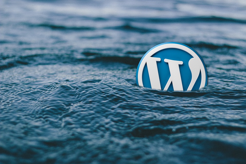 The Fast Guide to Creating a Website with WordPress