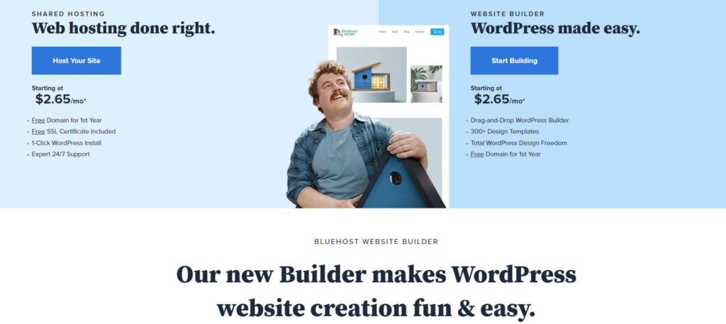Bluehost Website