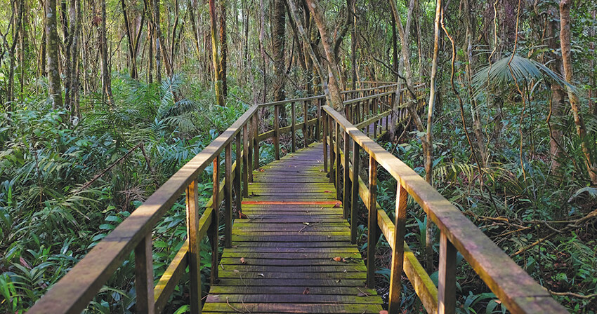 lekki conservation centre, Lagos