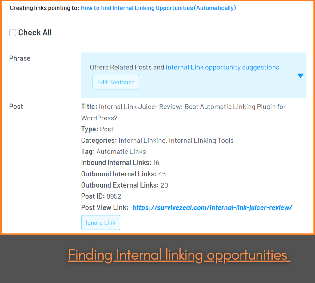 Finding internal linking opportunities, internal linking automation