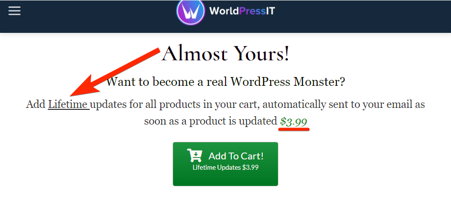 WorldPressIT Review, Automatic Updates