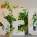 What is White Label SEO? The Best SEO Reseller Programs