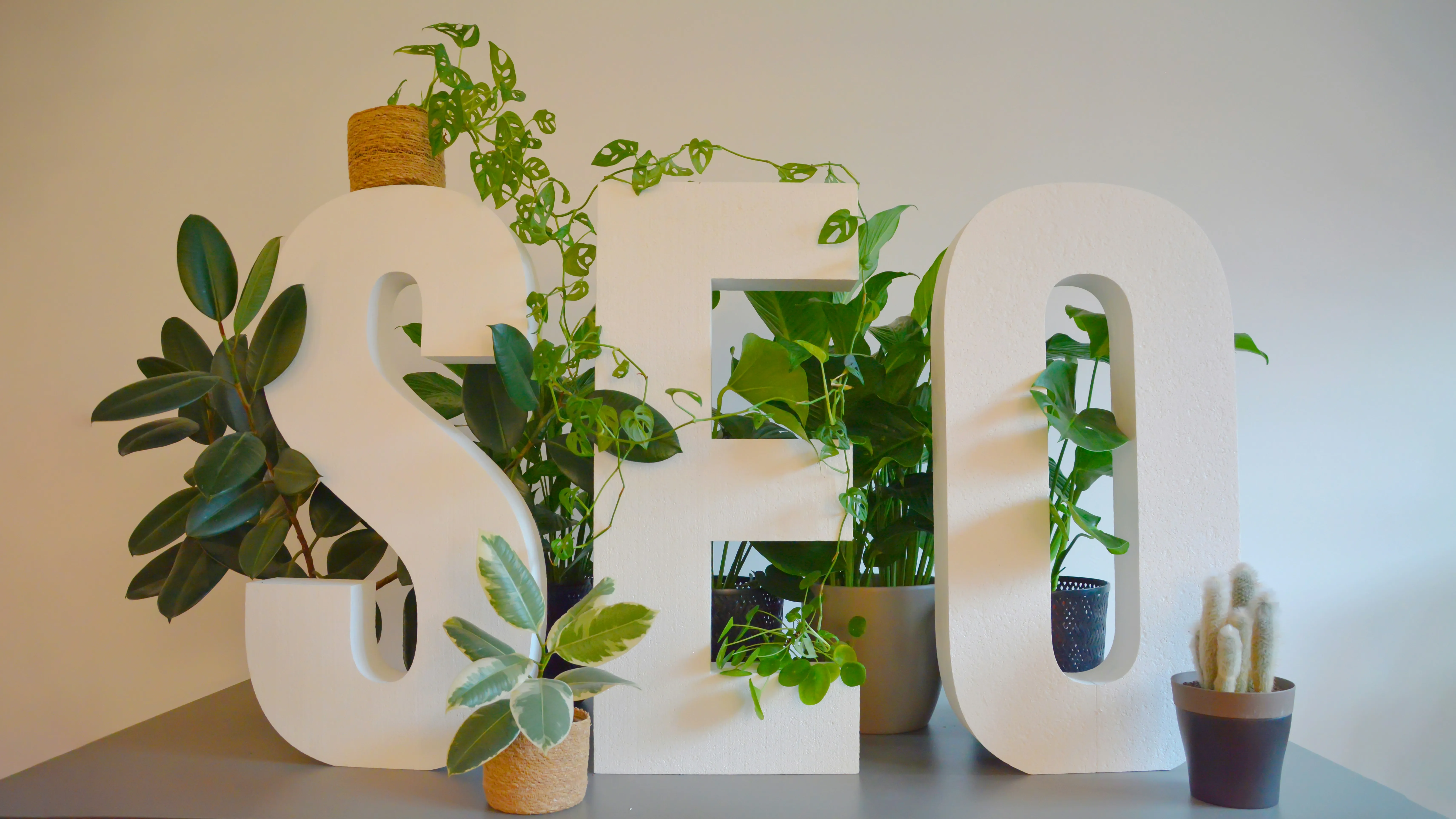 What is White Label SEO? The Best SEO Reseller Programs